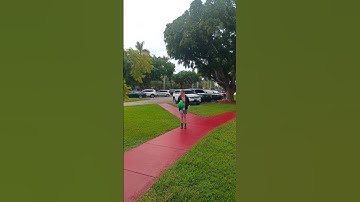 Demonstration of Elastic Collisions with Basketball and Tennis Ball in Physics #physics #science