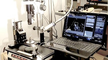 AUTOMATIC Z-STACKING PHOTOMACRO-MICRO WITH INFINITY MICROSCOPE AND STACKSHOT 3X