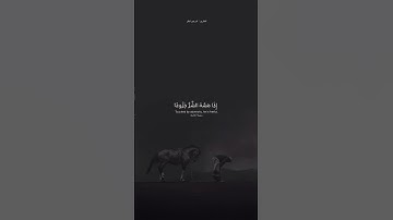 تلاوة هادئة تريح القلب🥺🖤||{إن الإنسان خلق هلوعا}|🥺🖤#القرآن_الكريم #اكسبلور