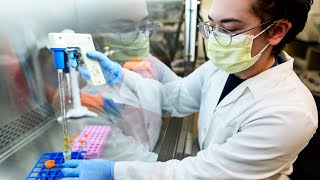 How MSK Ensures Clinical Trials Are Safe and Effective | Inside the Immune Monitoring Core Lab