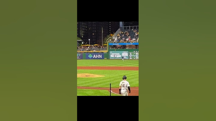 GRAPHIC: Fan falls / jumps onto the field during Pirates / Cubs game at PNC Park