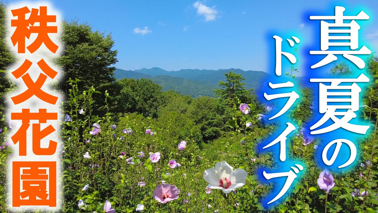 【秩父】夏の花と絶景をめぐる旅/暑いけど観光客少なくて快適/埼玉観光旅行vlogbsdz250821chichibu01