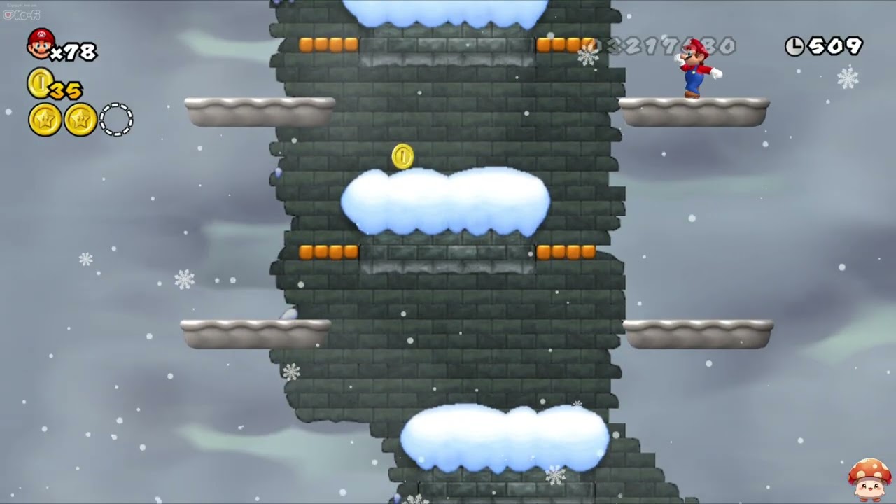 Newer Super Mario Bros. Wii 🌳 #16 - Fire & Ice