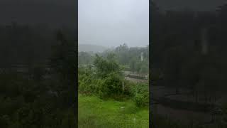 The Beauty Of Nature