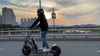 Electric Scooter WEPED Dark Knight Late Afternoon Riding