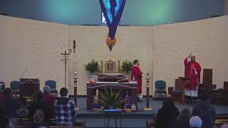 Palm Sunday of the Passion of the Lord - 032926 - 7:30 AM