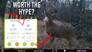 Do DEER HUNTING PREDICTION Apps Even Work? screenshot 5