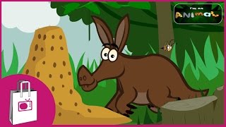 Im an Aardvark YouTube Videos
