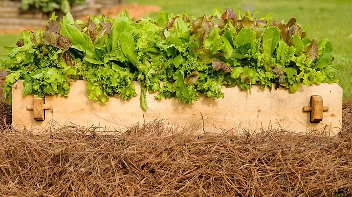 Add Compost to my raised garden