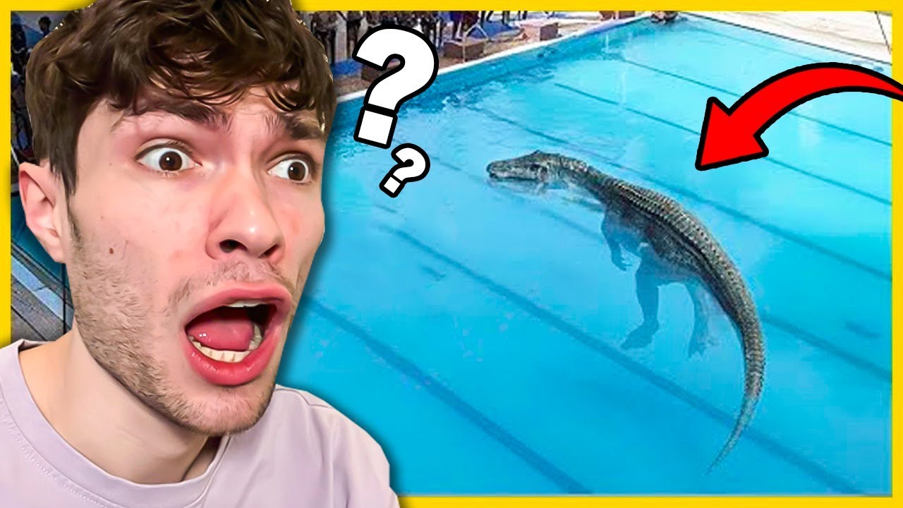 Les Animaux Les Plus DANGEREUX Du MONDE !