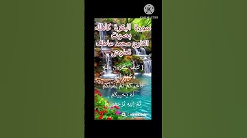 القارئ محمد عاطف قطوش أرح قلبك واستمتع بلتلاوه