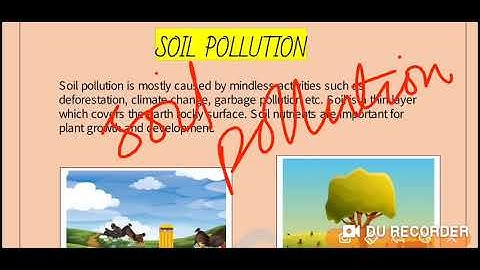 Grade 2 EVS Dated 05 06 2021