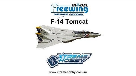 Freewing F-14 Tomcat Twin 80mm EDF Jet Flight Demo
