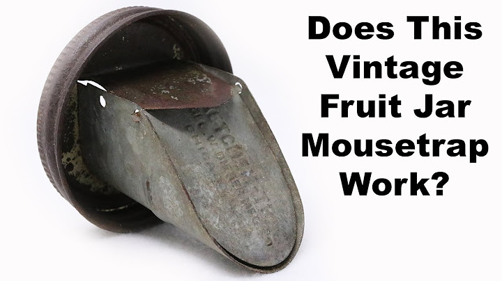 Testing Out An Old Fruit Jar Mousetrap Made In Chicago. Mousetrap Monday