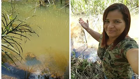 Como fazer a limpeza de um lago?