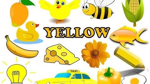 YELLOW colour I Things that are yellow in colourI Things that are yellow | Yellow colour objects
