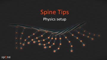 Physics setup - Spine tips #8