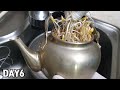 겨울철 주전자에 숙주나물 키워 먹기ㅣGrow mung bean sprouts in a kettle in winter(Sukju-namul)