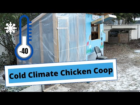 -40° | Cold Climate Chicken Coop | How To Winterize A Chicken Coop