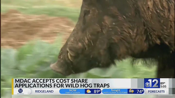 MDAC accepts cost share applications for wild hog traps