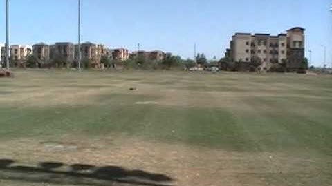 Nitroplanes Dynam A-10 EDF crashed on maiden flight...