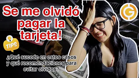 ¿No pagar la tarjeta de crédito todos los meses perjudica su crédito?