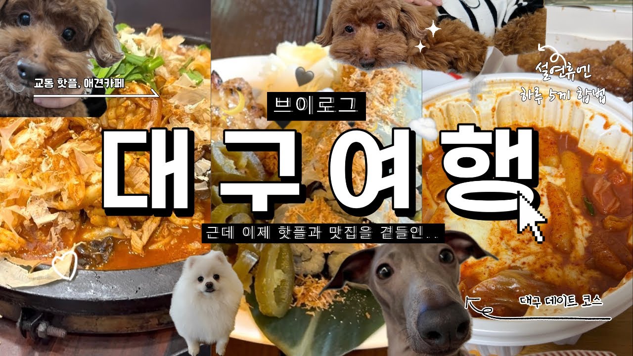 [VLOG] 대구 교동 왜 이렇게 다 맛있니..? 서울사람의 대구ㅣ데이트코스 맛집추천 길감자 두쫀광어초밥 돌판짜장