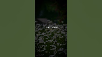 #تلاوات_خاشعة #اكسبلور #قرآن #قران_كريم#راحة_نفسية#اسلام #قرآن_الكريم_حالات_واتساب #تلاوات #لايك 🍃