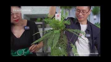 Artificial Plant  Live Show Scene Two In The 127th Canton Fair