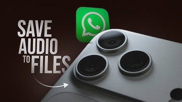 How to Save WhatsApp Audio to Files on iPhone (tutorial)