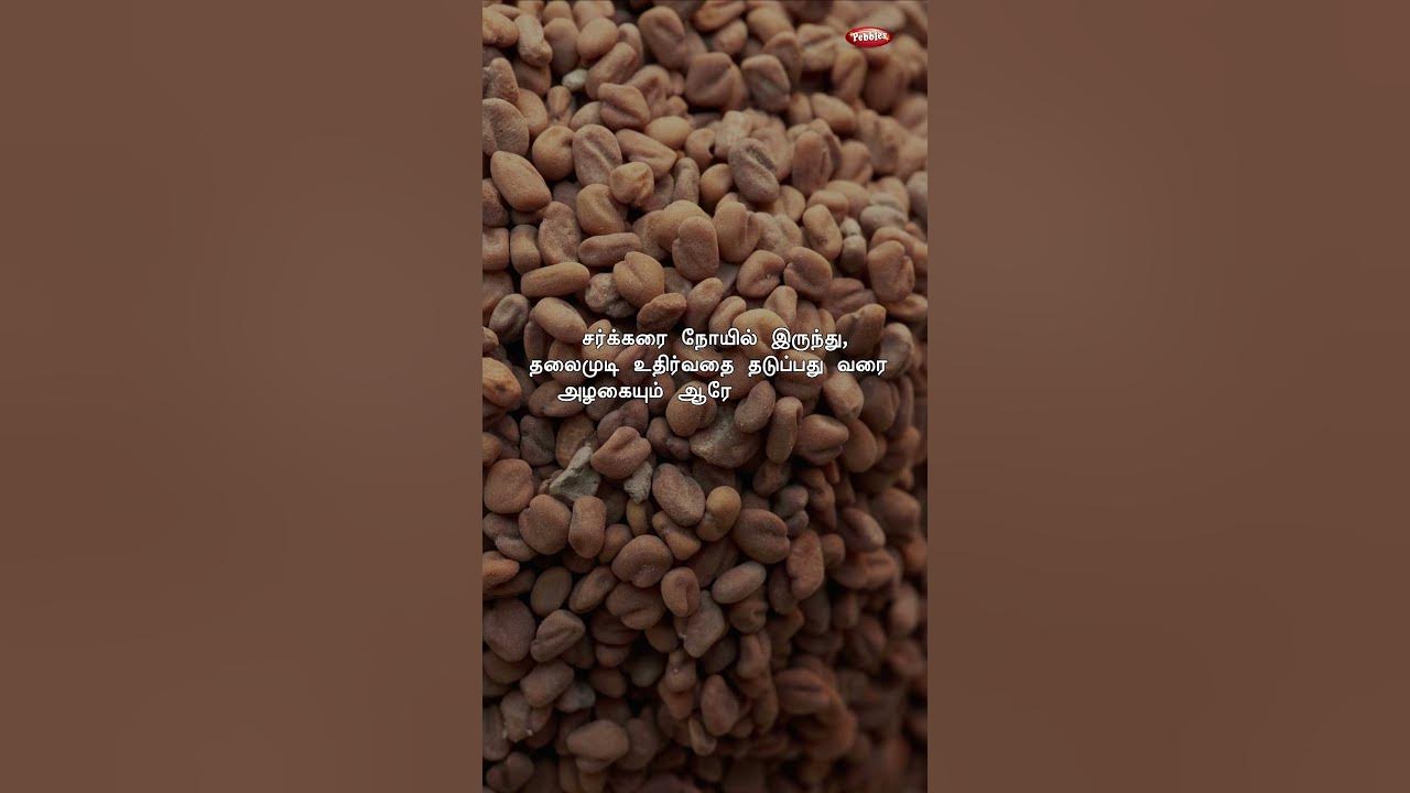 Health Benefits Of Fenugreek Seeds In health-benefits-of-fenugreek-seeds-in
