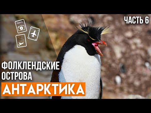 Видео: 6 Приключения на Фолклендских островах