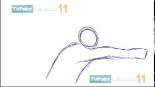 tvpaint punch test