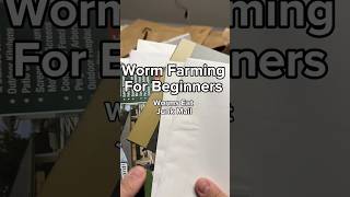 Worm Farming For Beginners | Worms Eat Junk Mail #vermicomposting #vermicompost