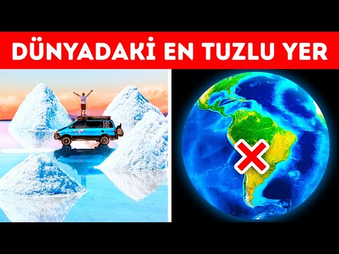 Video: Yer Örtüsünde Yürümek – Üzerinde Yürüyebileceğiniz Büyüyen Yer Örtüleri