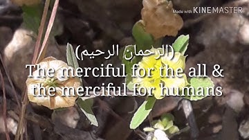 Alfatehaa translated to english سورة الفاتحه مترجمه للانجليزيه