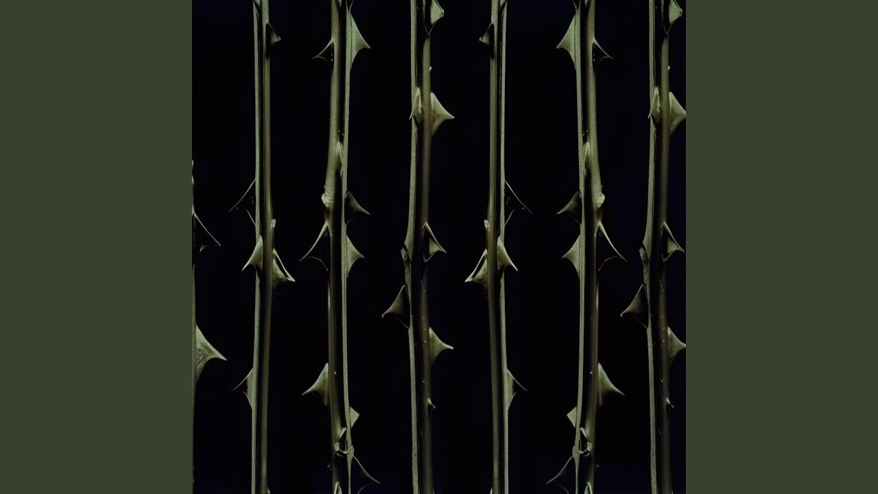 Guarda thorns su YouTube Guarda thorns su YouTube
