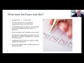 Becoming a CPA: Overview of the New Exam