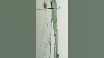 #bollywood #tereliyehumhaijiye #song #hindisong #love #movie #3d #lovesong #lifeisbutadream