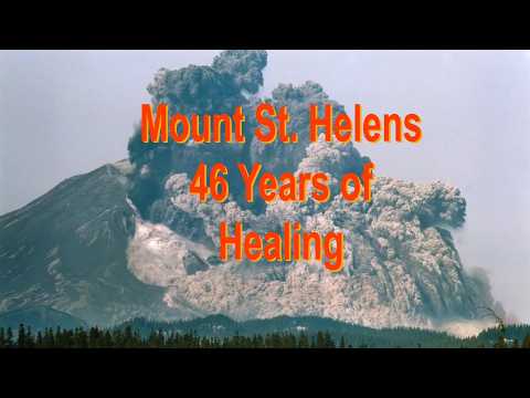 Mount St. Helens: 46 Years Healing