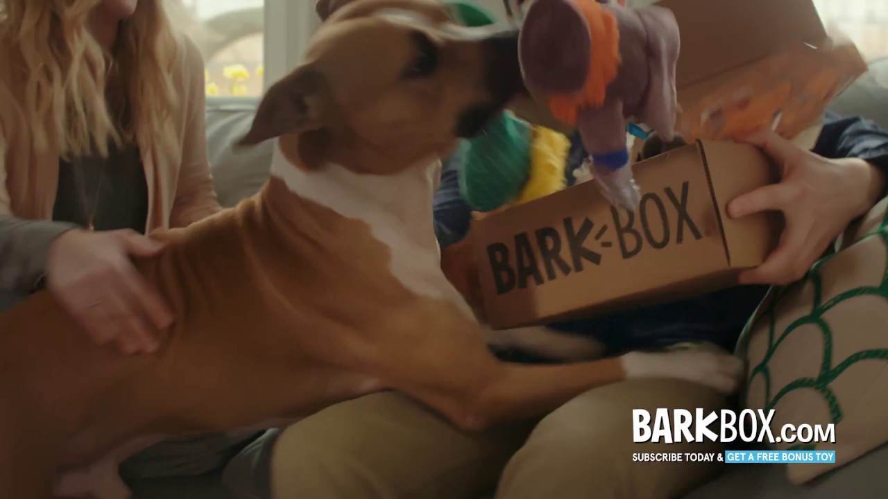 barkbox commercial