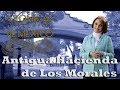 Crónicas y relatos de México - Antigua Hacienda de Los Morales (13/03/2014)