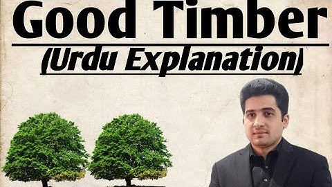Good Timber by Douglas Malloch اردو ترجمہ/Hindi
