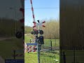 JPL di Belanda#JJPKAEluarnegeri