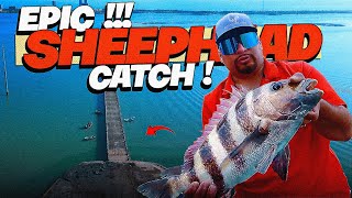 EPIC SHEEPSHEAD FISHING AT SOUTH PADRE ISLAND TEXAS BRIDGE