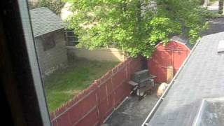 MVI_0774.AVI