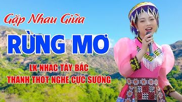 Gặp Nhau Giữa Rừng Mơ, Tiếng Đàn Ta Lư - LK Nhạc Tây Bắc Thánh Thót Nghe Cực Sướng - Ngọc Khánh