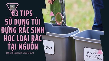 3 Tips hiểu thêm ý nghĩa sử dụng túi đựng rác phân hủy sinh học cho phân loại rác tại nguồn