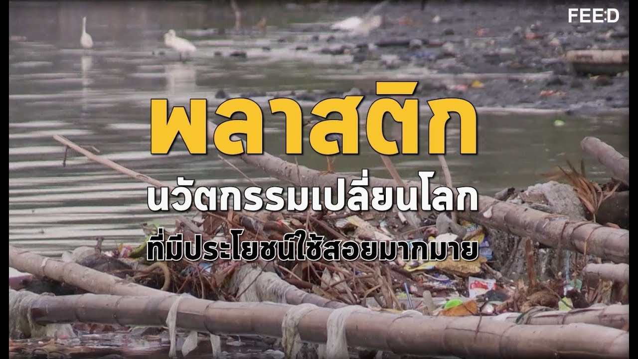 ทะเลหัวหิน CP ALL เดินหน้าลดและเลิกใช้ถุงพลาสติกเพื่อสิ่งแวดล้อม