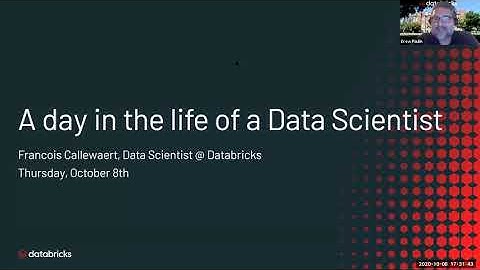 A Day in the Life of a Data Scientist (Francois Callewaert, Databricks)